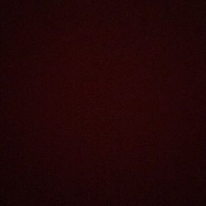 Meet your Posher, Calli